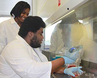 PREP scholars working in lab